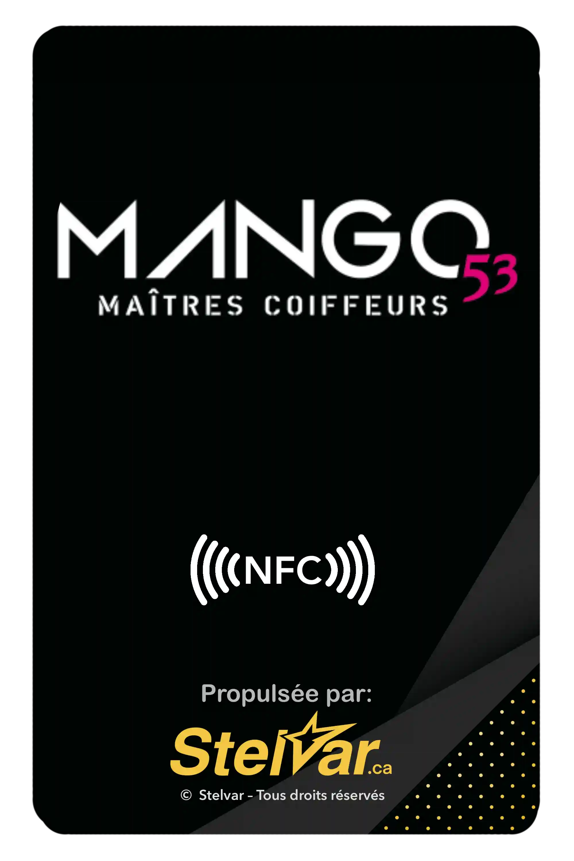 Carte NFC Stelvar avec logo, verso